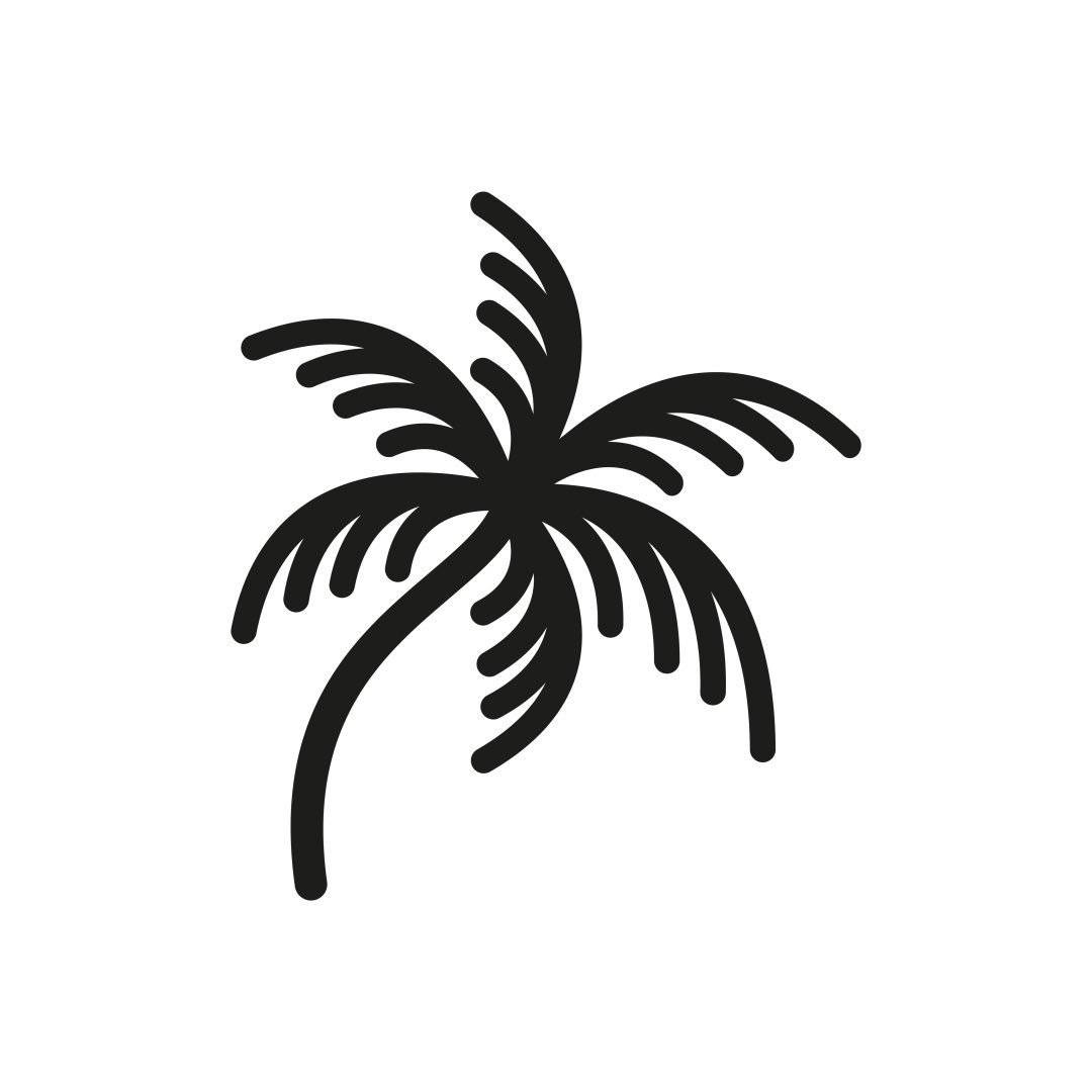 Pura Beach